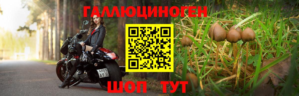 Псилоцибиновые грибы GOLDEN TEACHER Мыски
