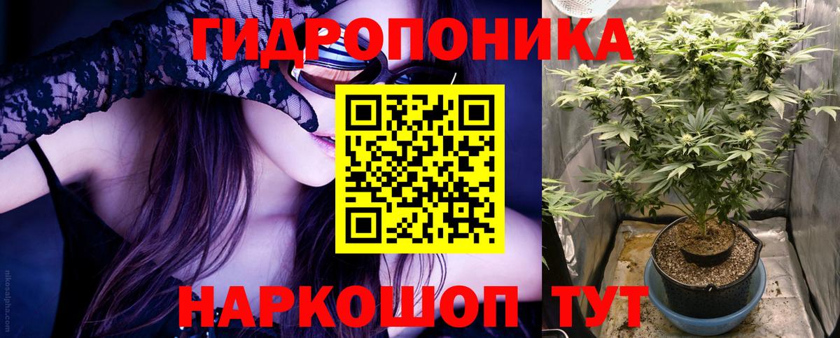 Бошки Шишки AK-47  Вход с VPN  Мыски  Шишки марихуана OG Kush  Марихуана Amnesia  Марихуана сатива 